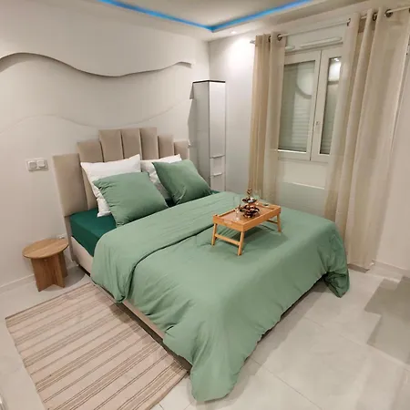 Standing Climatise Avec Parking Prive Apartment Bron